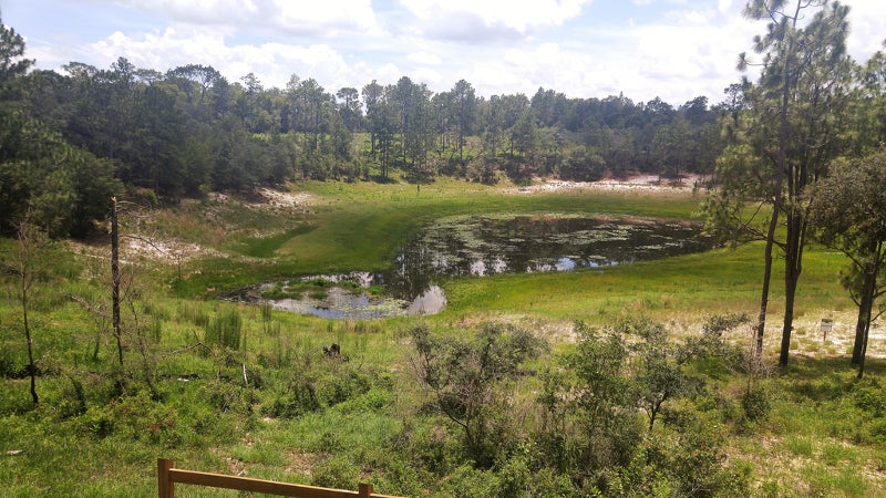 a lake in the shape of a figure 8 in the middle of a green grassy area surrounded by trees