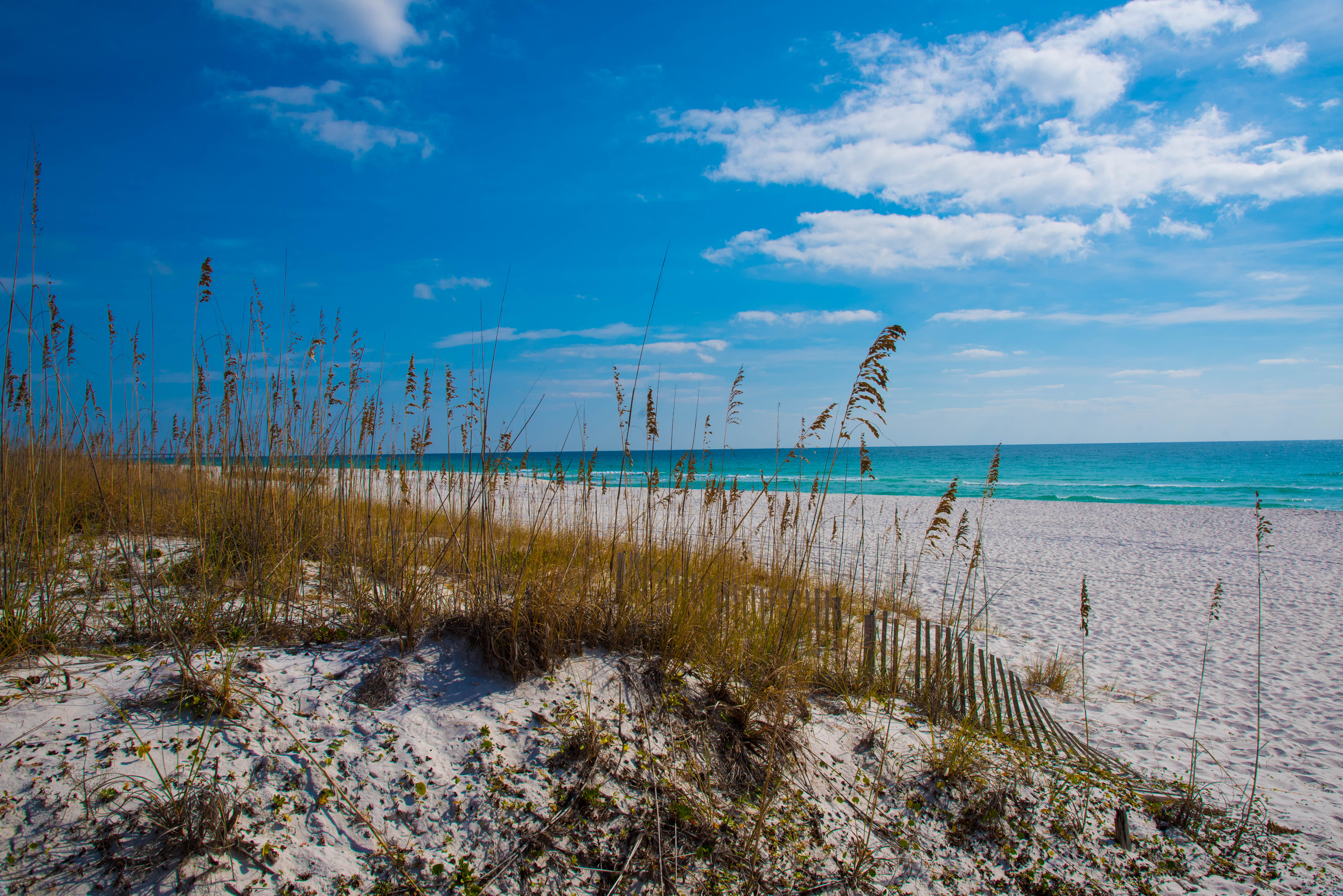 Sea oats meet white sandy beach and emerald green water. 