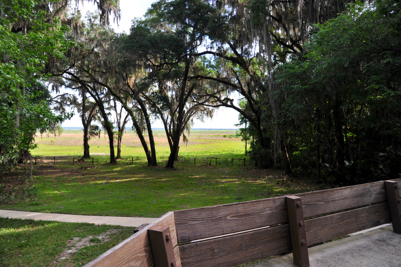Image looking out over the paynes prairie from the visitor center observation deck.