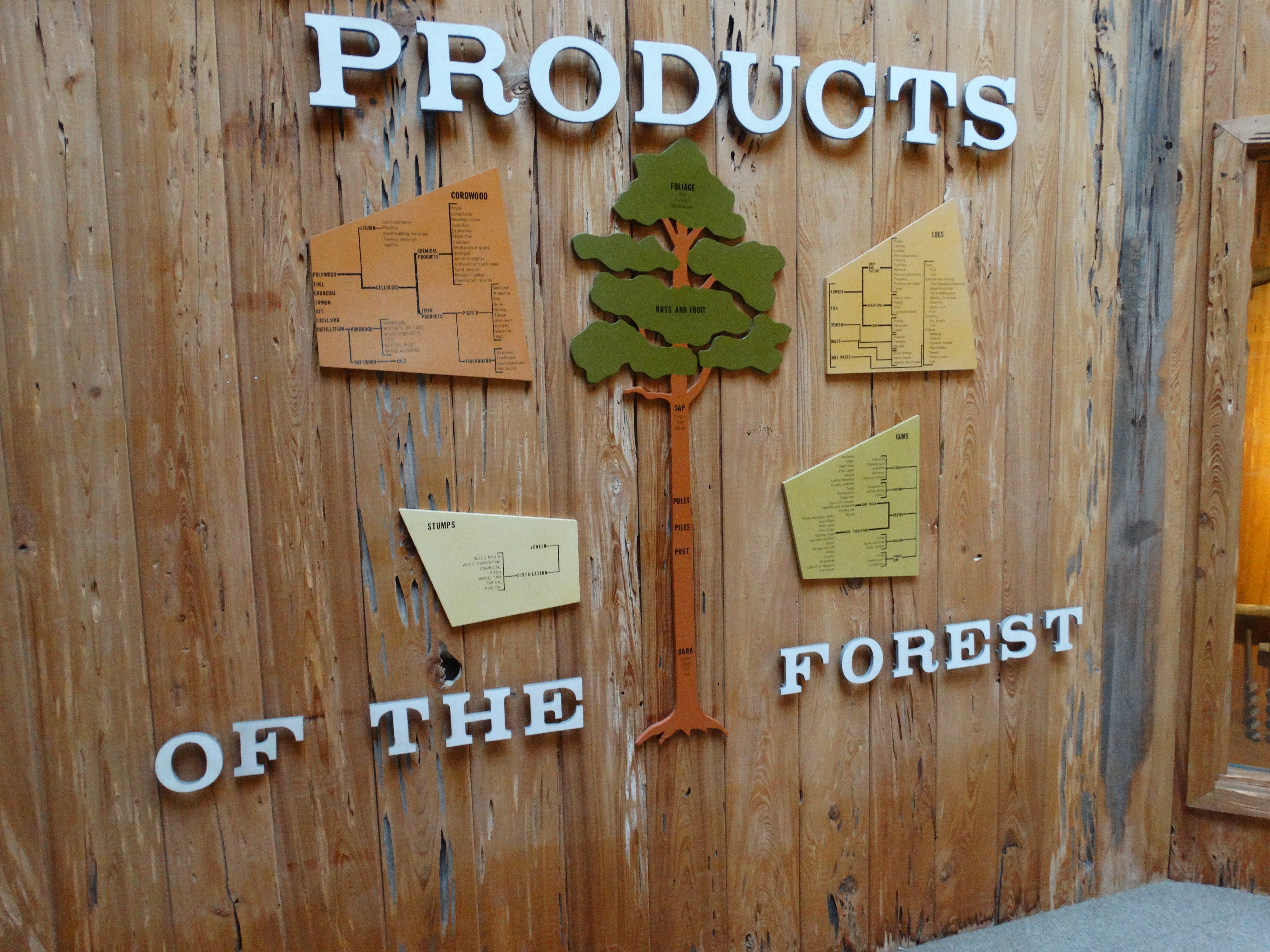 a wooden panel exhibit titled "products of the forest" with an image of a tree.