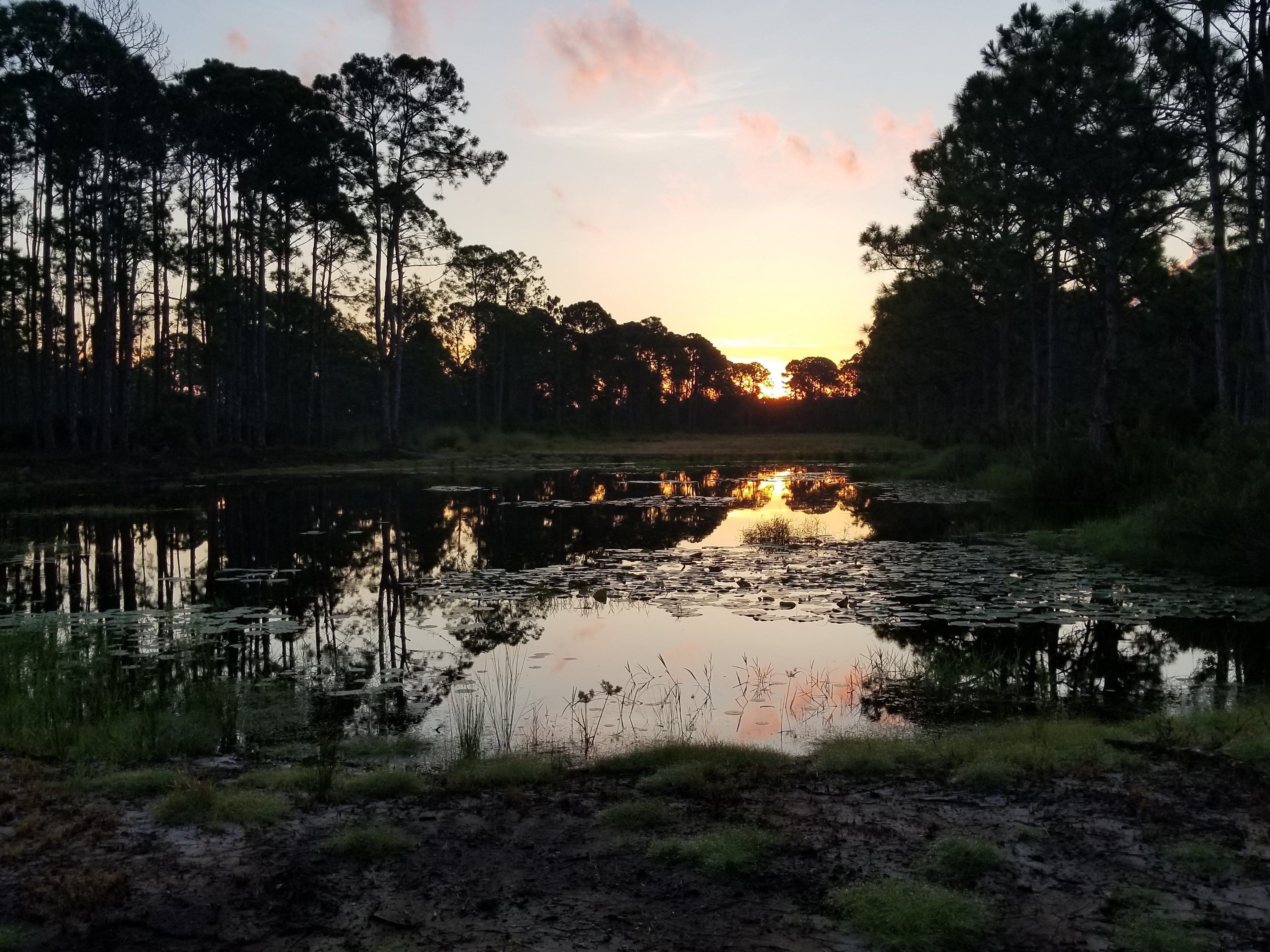 A view of a restored waterway at the park.