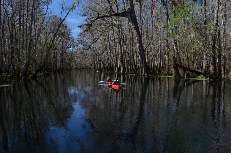 two red kayaks float on a dark river