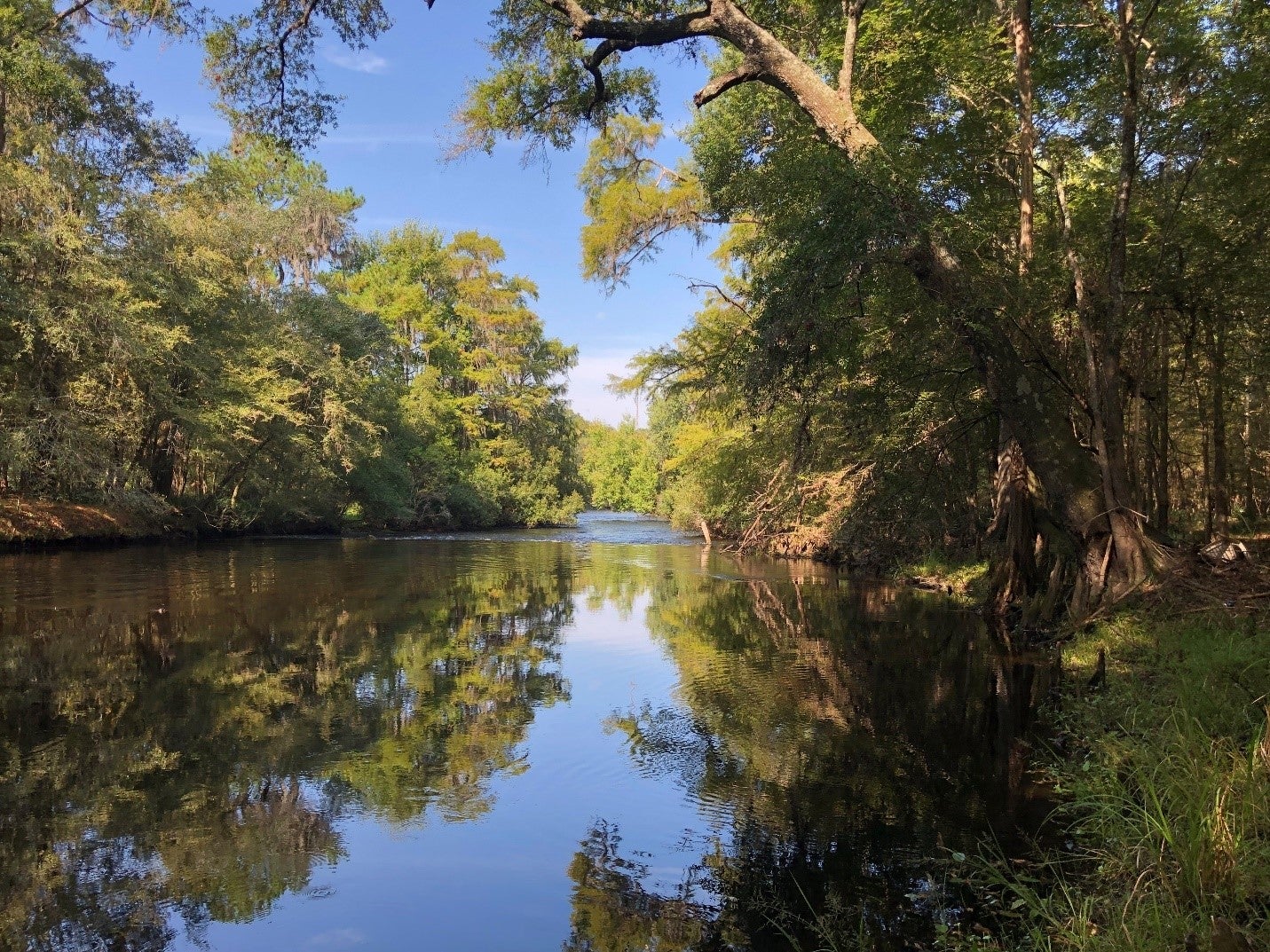 A view of the Santa Fe River