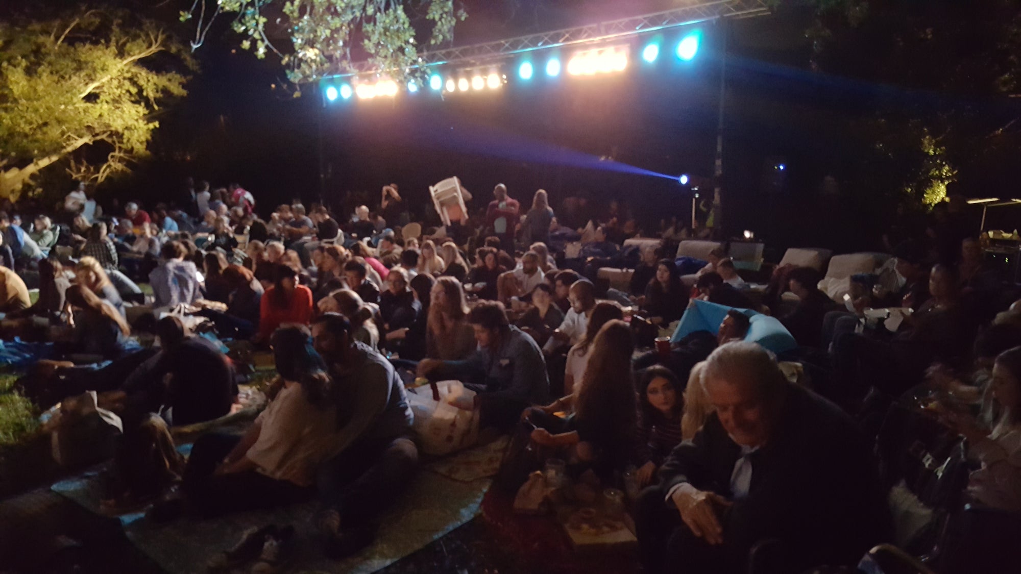 Audience for Shakespeare in the Park