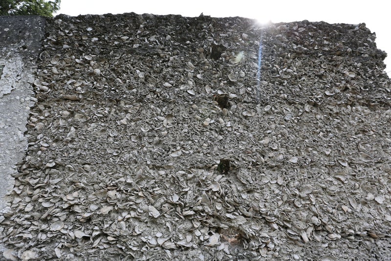 a stone wall made of shells