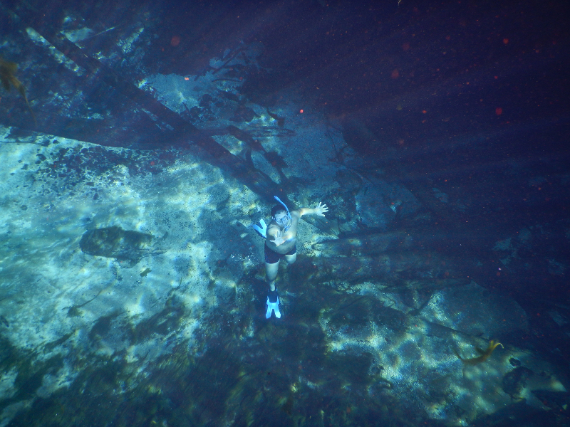 a man in a snorkel mask and fins swims up from the bottom of a spring