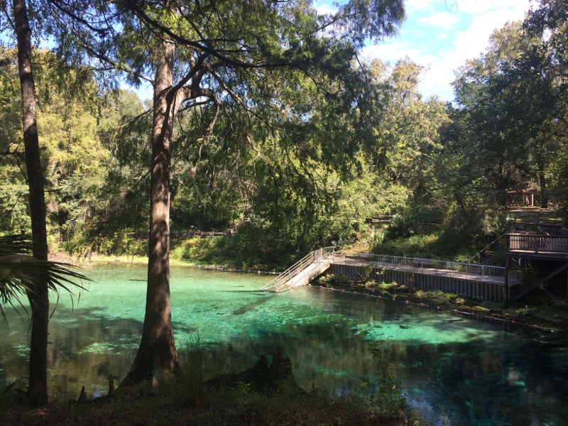 trees outline turquoise water and a swimming platform