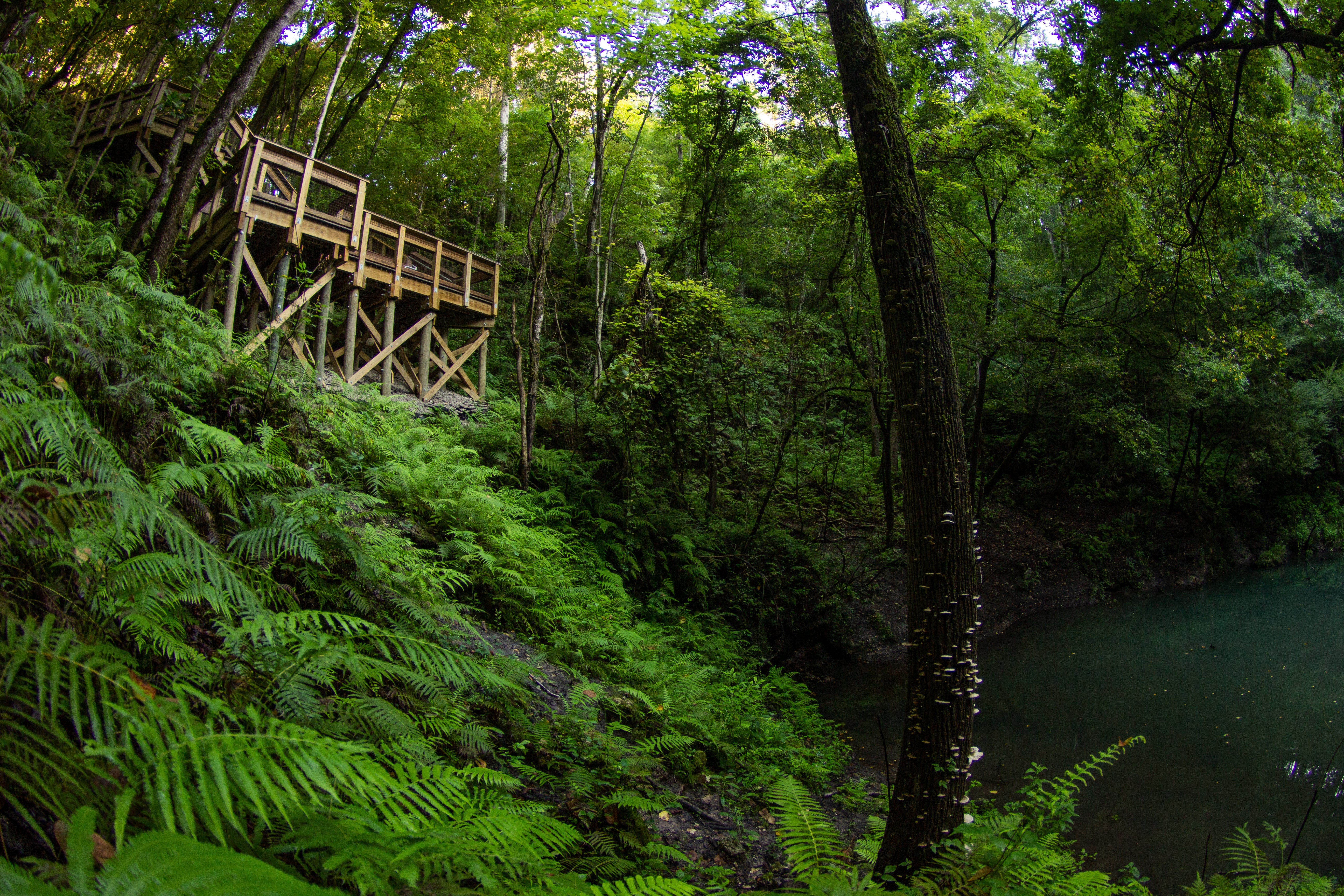 www.floridastateparks.org