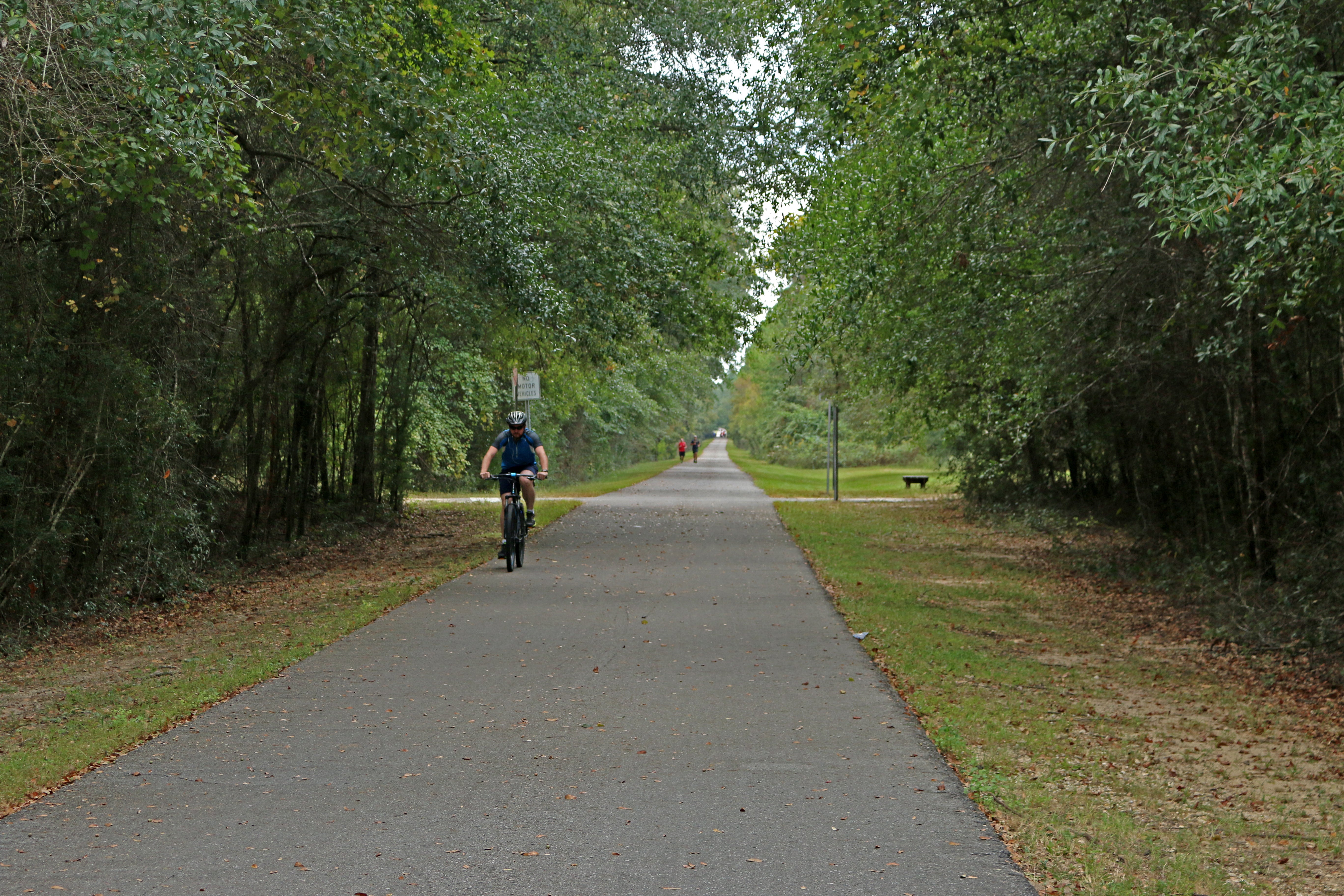 Bicycling at Blackwater State Trail