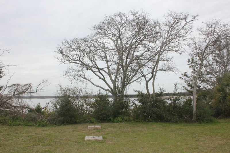 Two stone blocks stand in front of trees and a riverbank in a grassy area.