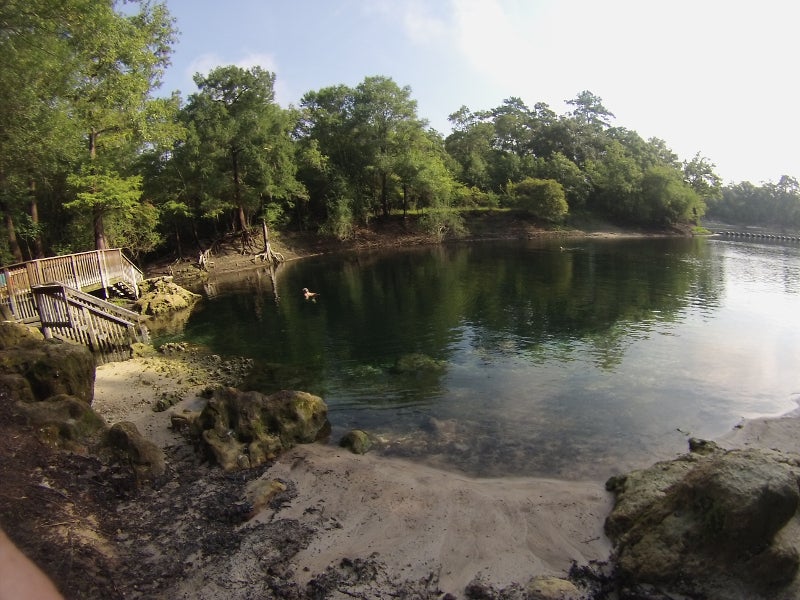 a single person swims in the dark water, surrounded by trees