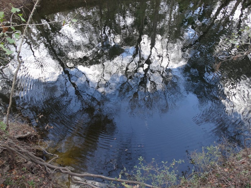 dark water ripples outwards in a ring