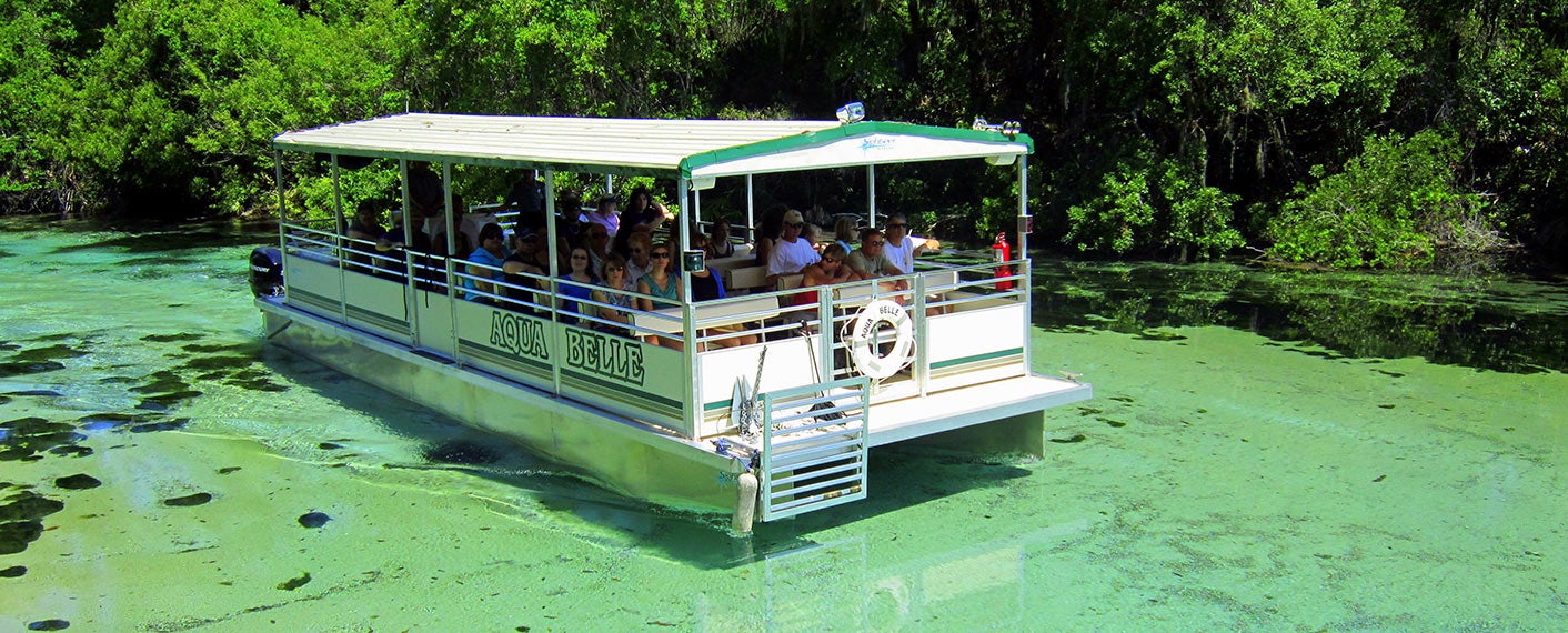 River Boat Cruise