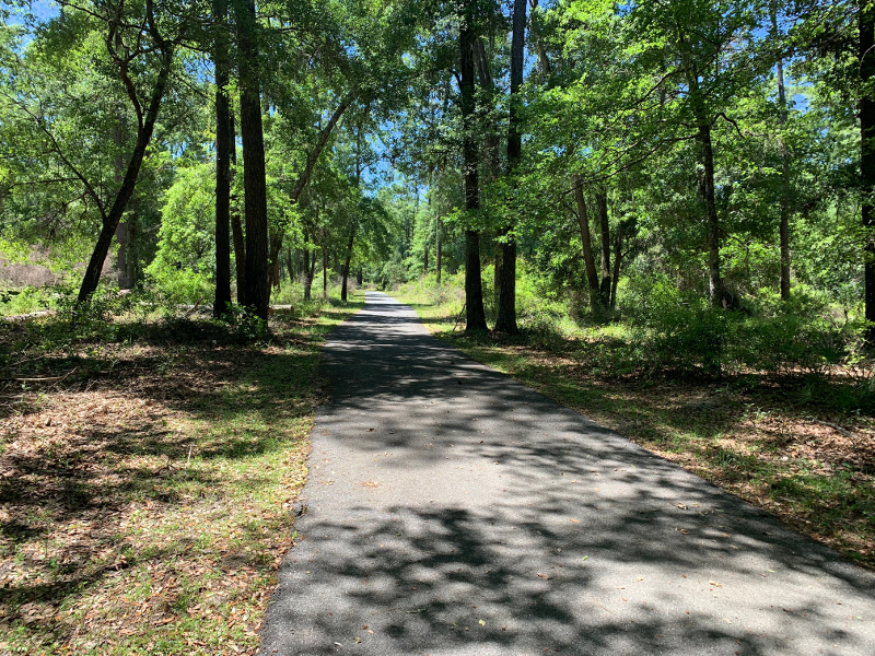 a paved path extends through the trees