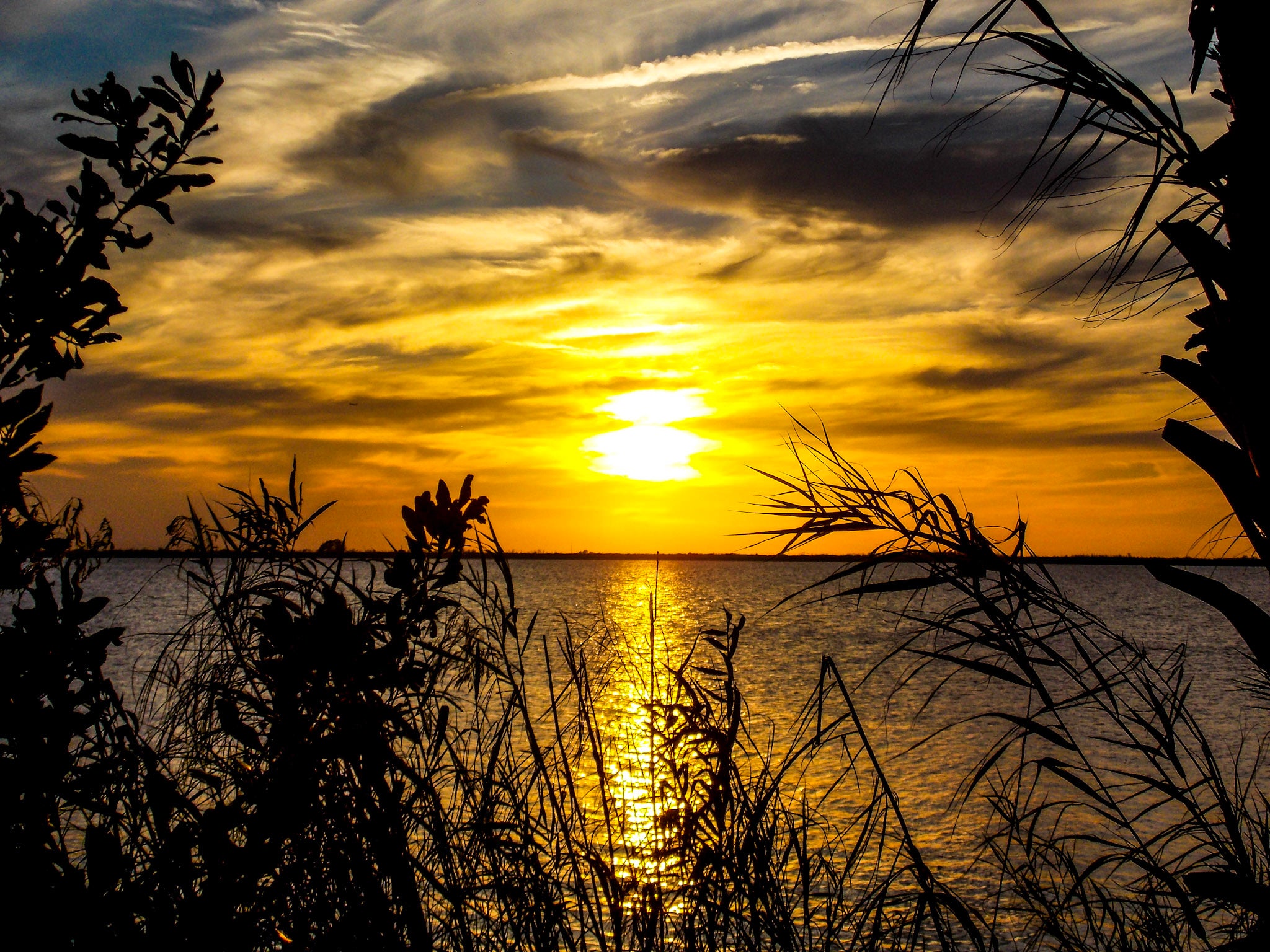 Yellow River Preserve