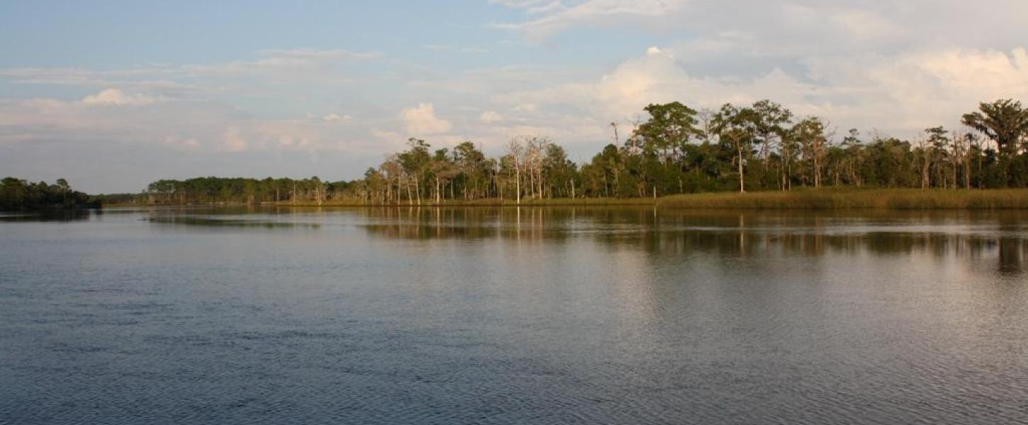 fishing, water, boating