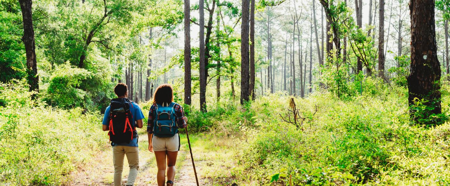 Two people with their back towards the camera on a hiking trail.