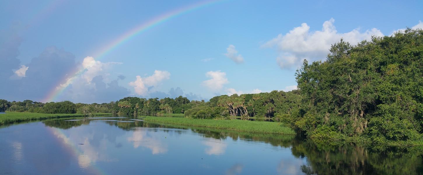 Myakka River