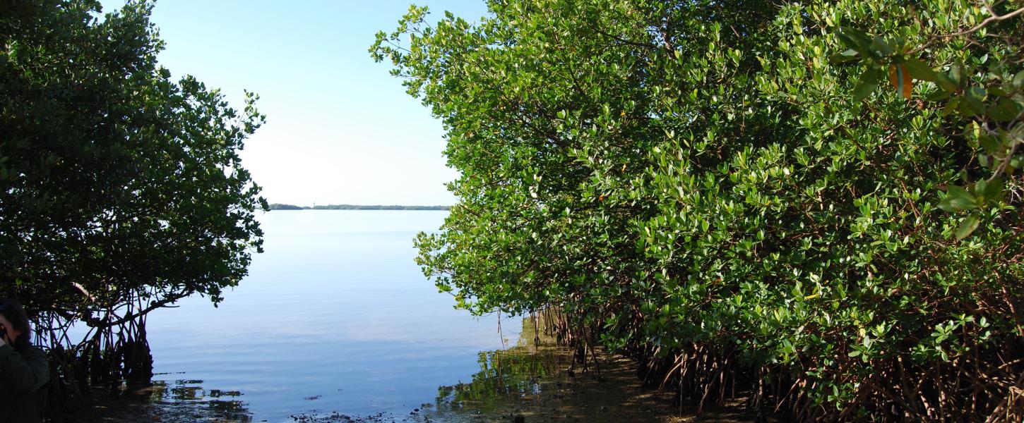 Mound Key Archaeological State Park