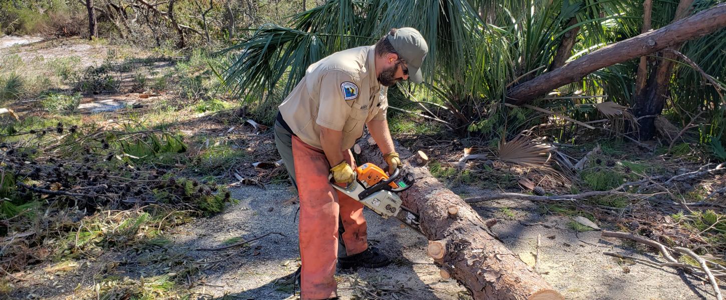 Hurricane Michael Recovery