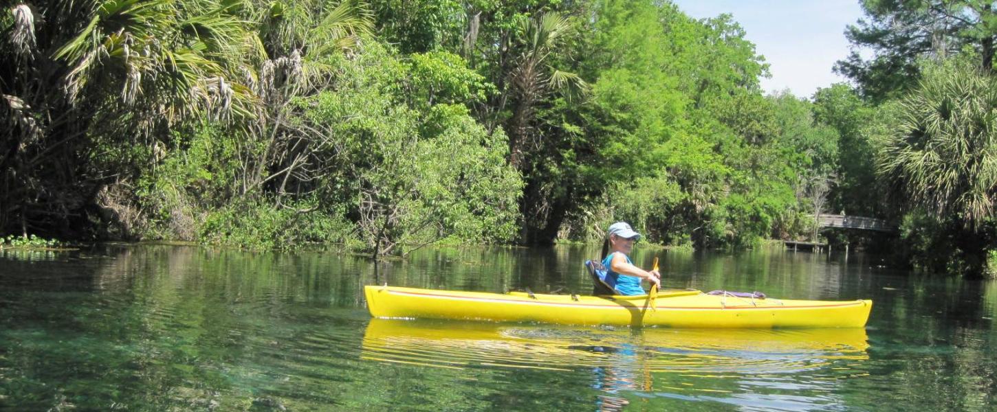 A view of someone paddling down the river.