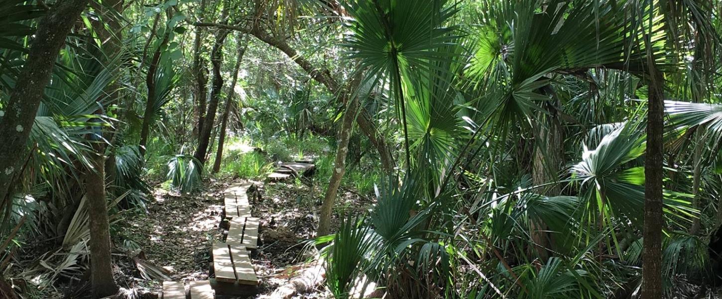 A hiking trail at De Leon State Park with trees