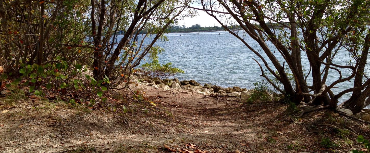 A view of a trail by the water.