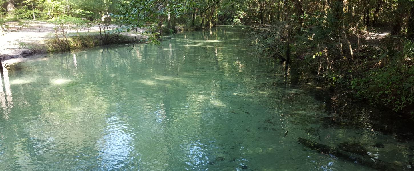 Springs at De Leon Florida State Parks