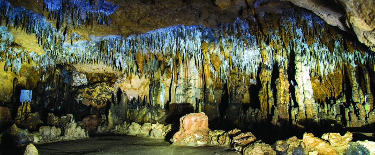 View from the inside of the caverns