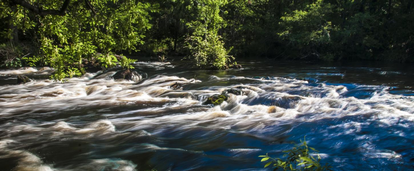 Hillsborough River