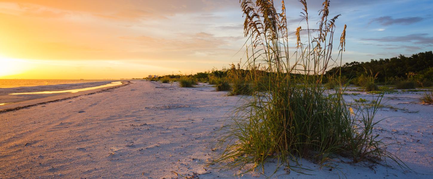 Lovers Key Sea Oats