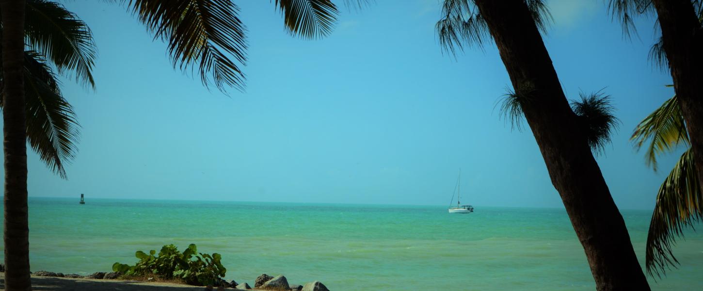 A view of the water at Fort Zachary Taylor between the trees.