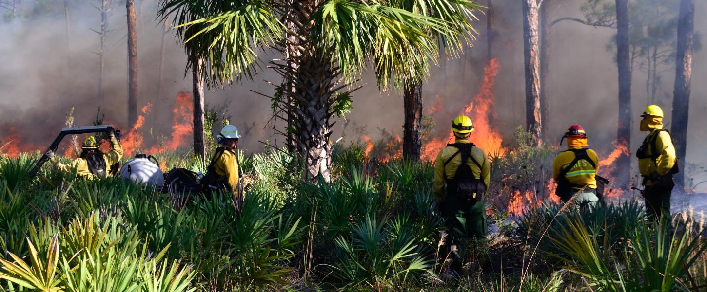 A team of prescribed burn members doing a burn.