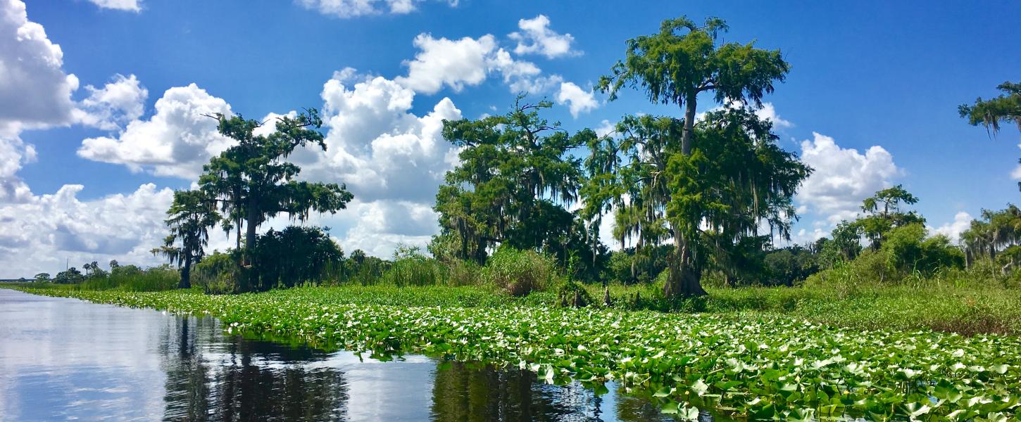 Blue Spring State Park