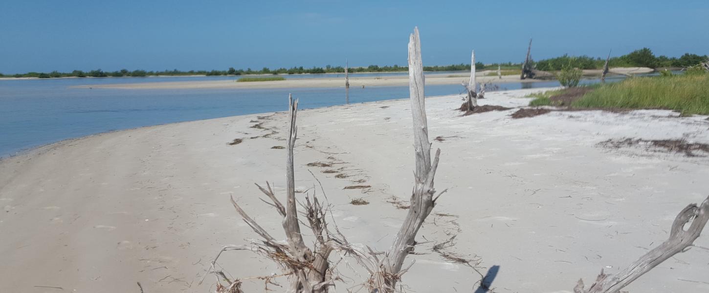 A view of the beach at Anclote Key.