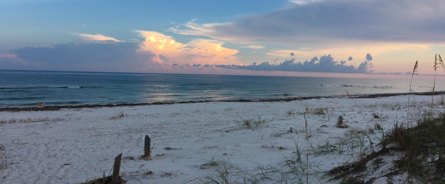 A view of the beach during sunset.