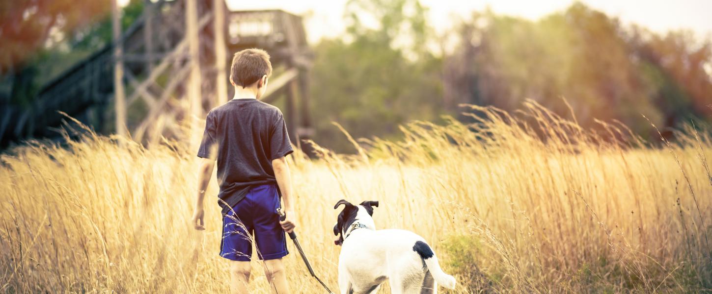 Child with dog on leash