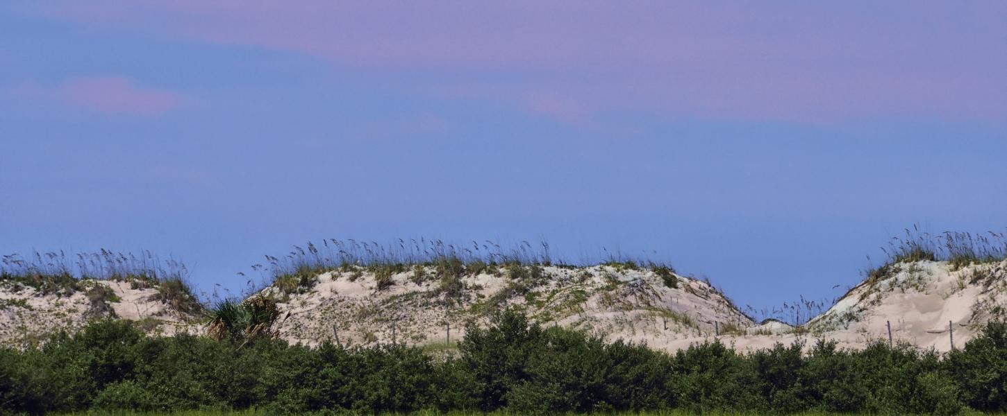 Dunes at Anastasia State Park