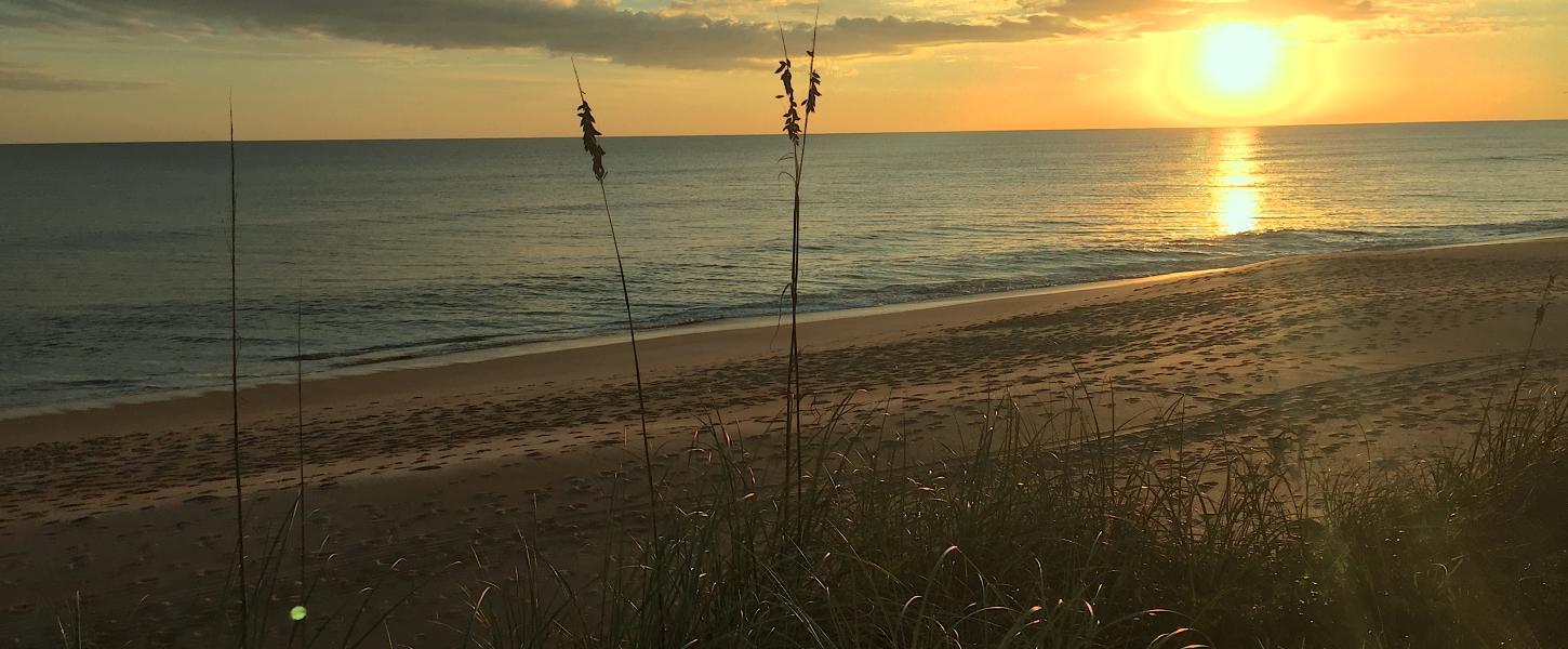 A view of the beach at sunset.