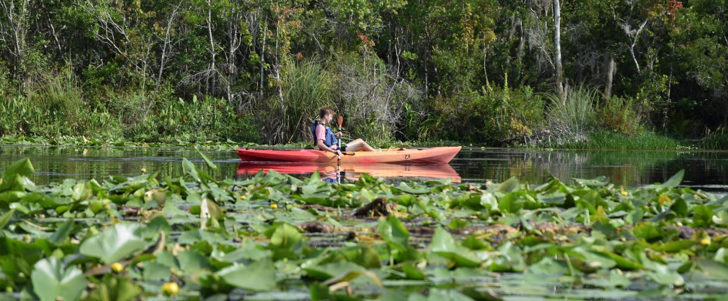 Man paddling in a kayak at Lake Griffin