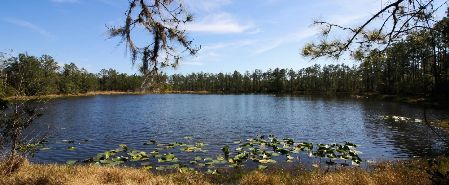 Little Manatee River State Park