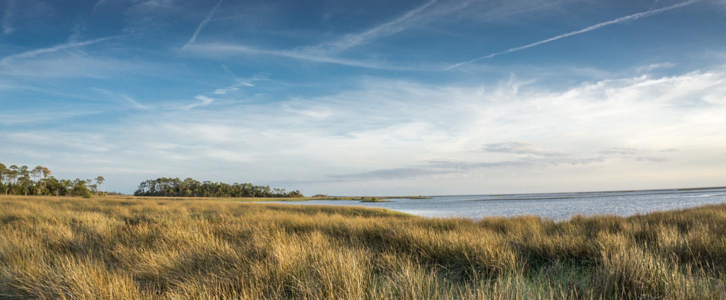 Vista of Cedar Key salt marsh and blue sky with wispy clouds