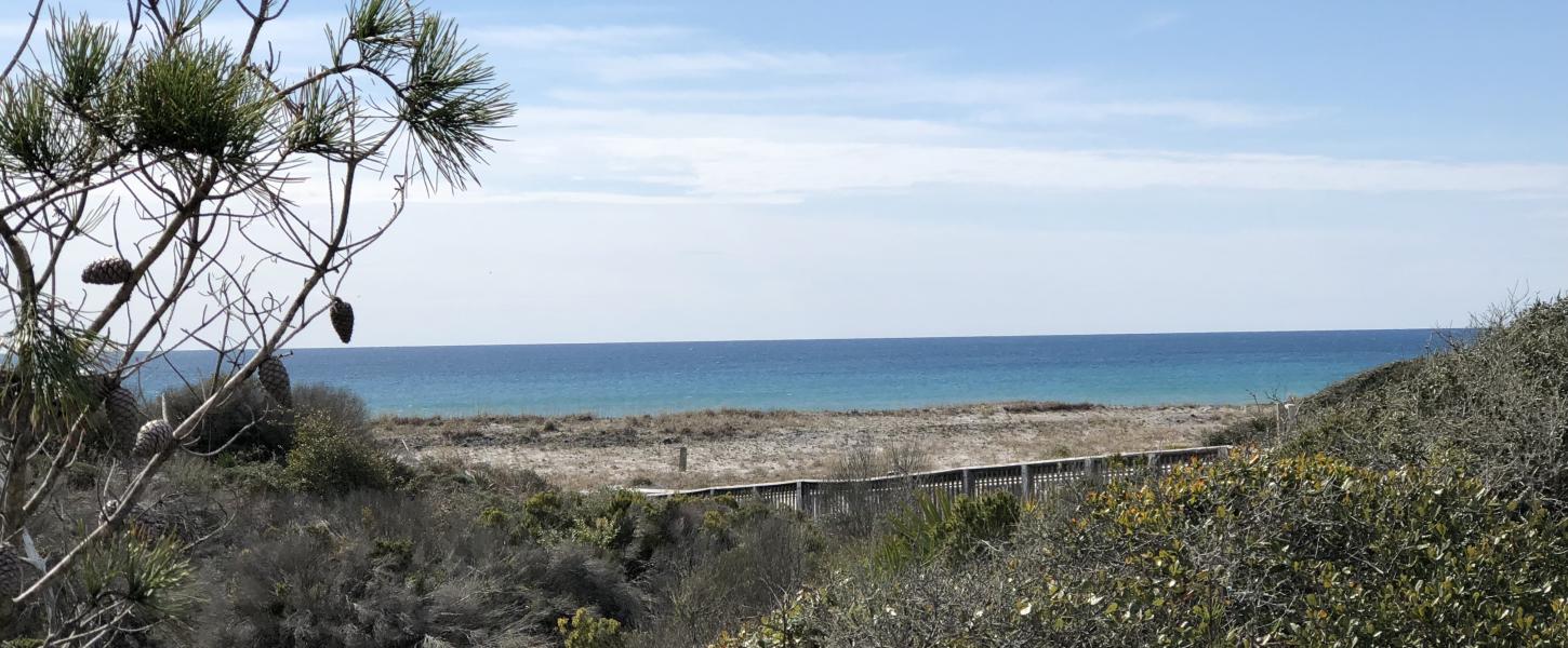 A sandy trail leading to the beach.