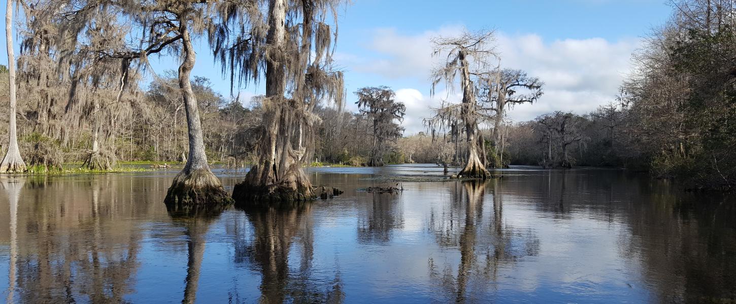 Wakulla Springs State Park