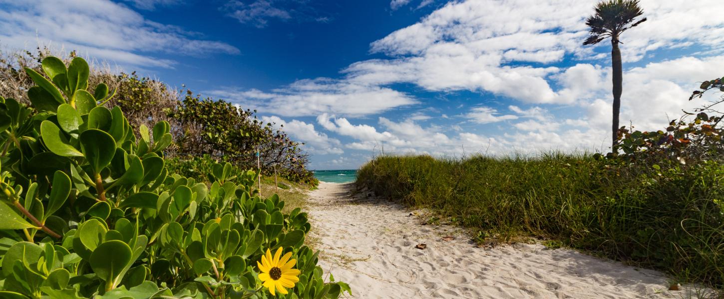 Dr. Von D. Mizell-Eula Johnson State Park