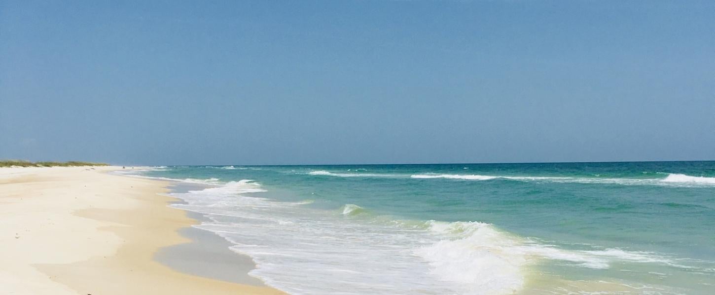 An emerald coast at Dr. Julian G. Bruce St. George Island State Park.