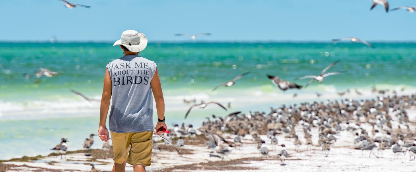 Birder walking on the beach
