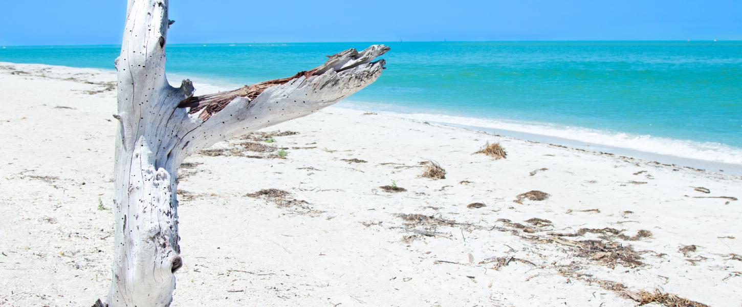 Beach at Cayo Costa