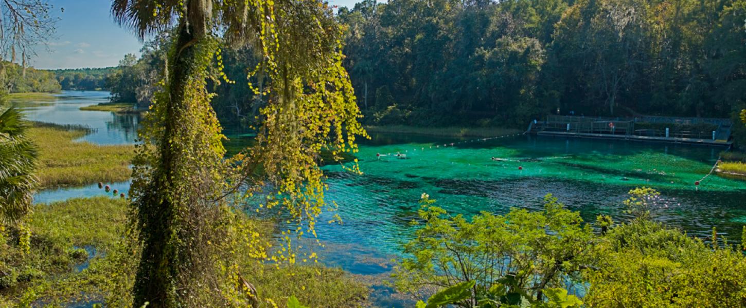 View from a bluff over Rainbow Springs looking down at spring and spring run.