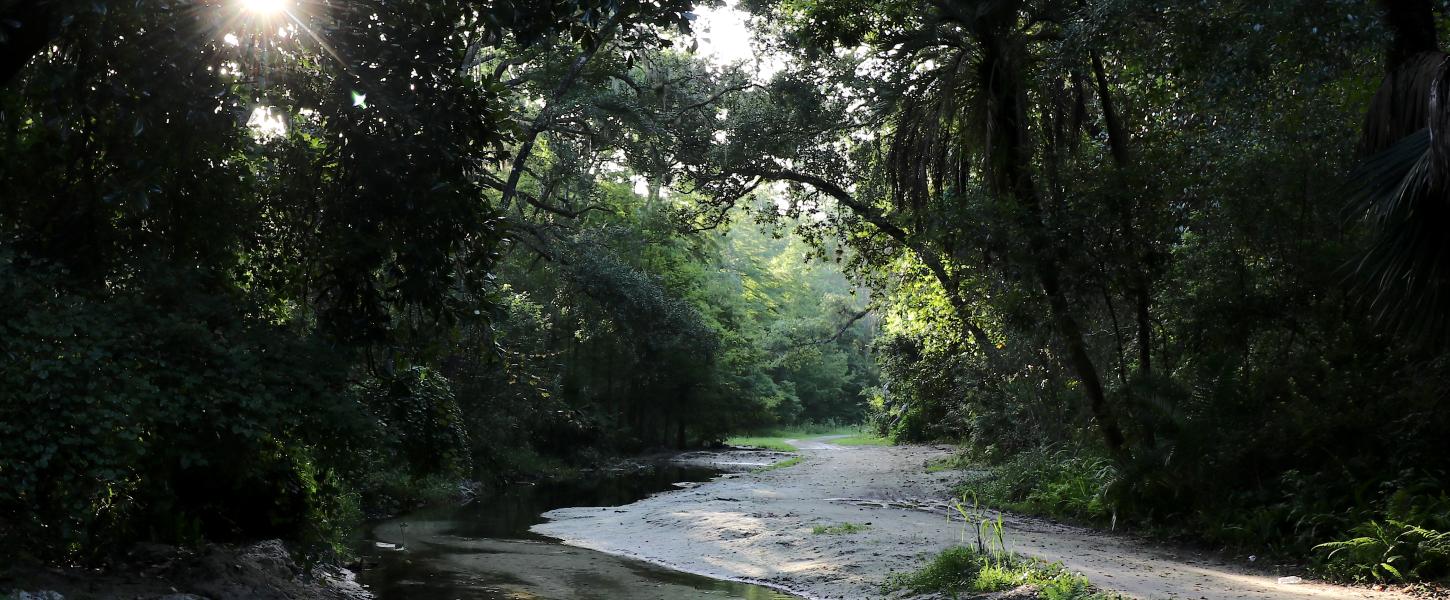 Whitewater branch stream at Ravine Gardens